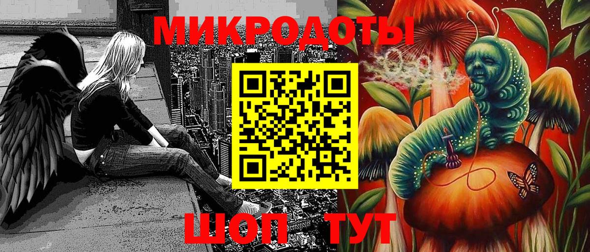 Псилоцибиновые грибы Psilocybine cubensis Чистополь
