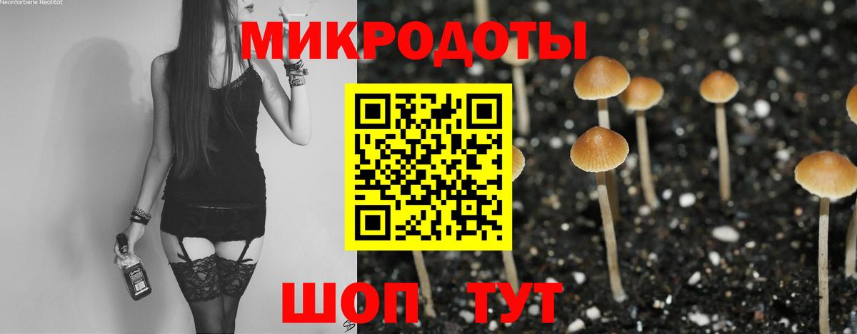 Галлюциногенные грибы Magic Shrooms  Псилоцибиновые грибы прущие грибы  Чистополь  Вход с VPN 